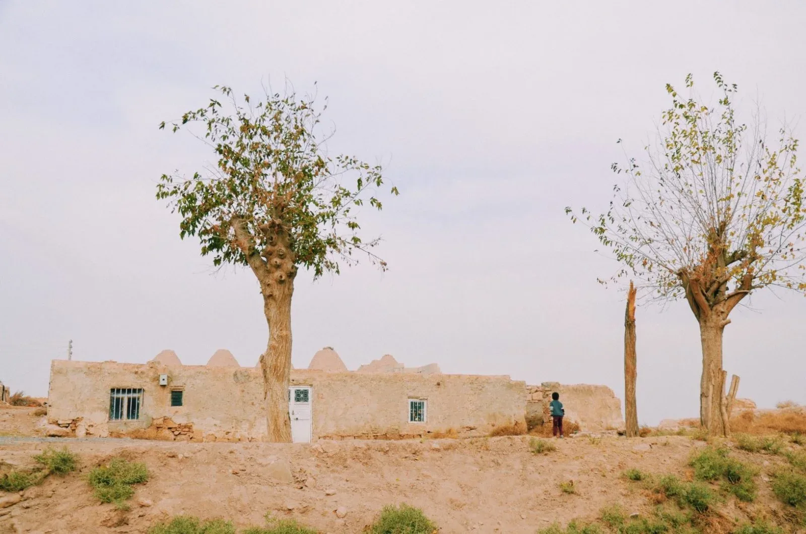 A village between sparse trees and open land